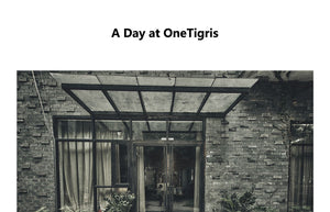 A DAY AT ONETIGRIS