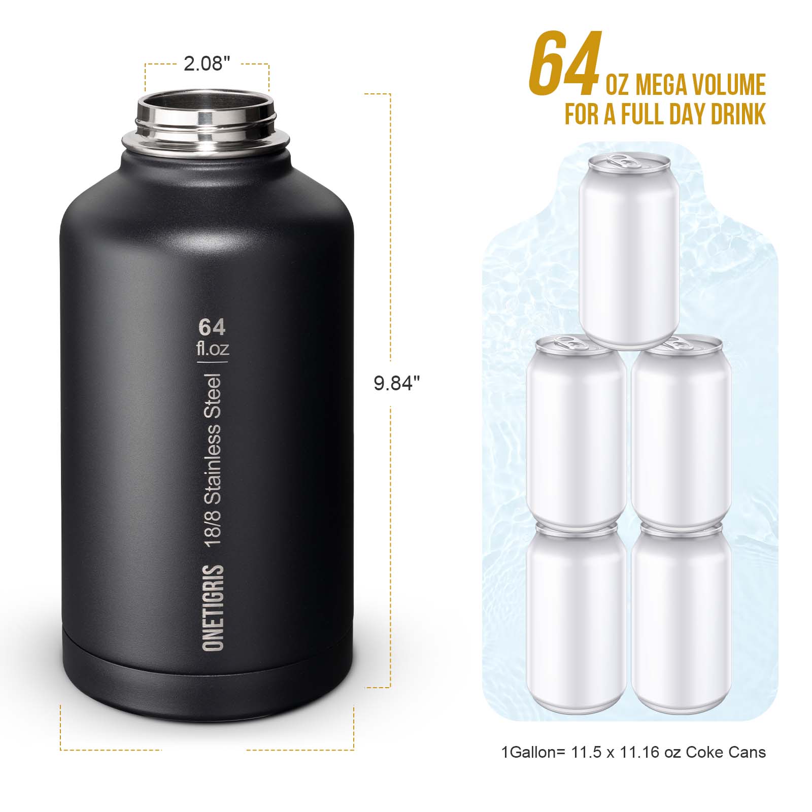 64oz Stainless Steel Insulated Water Bottle with Pouch set
